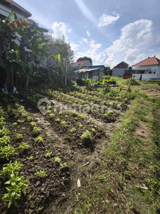 Tanah 2 Are Zona Kuning di Lukluk View Sawah - Image 2 of 4
