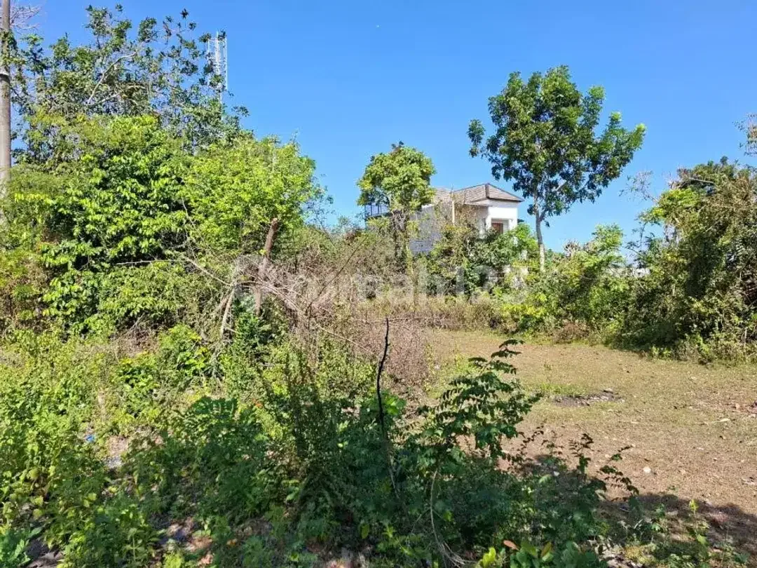 Dijual Tanah Kavling Plot Kecil di Ungasan - Image 3 of 8
