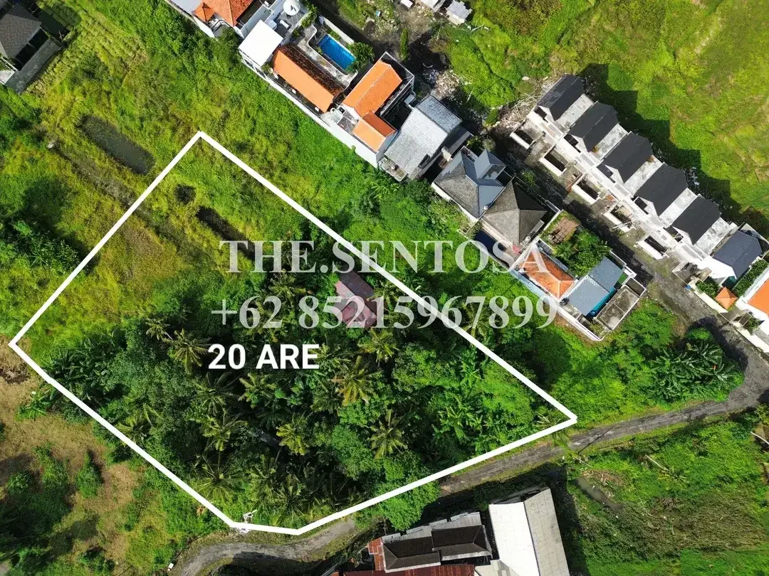 LAND FOR LEASE NYANYI NUANU LUNA BEACH CLUB - Image 2 of 10