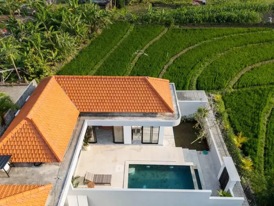 Di Sewakan Villa 2 Bedroom - Padonan, Canggu - Image 5 of 10