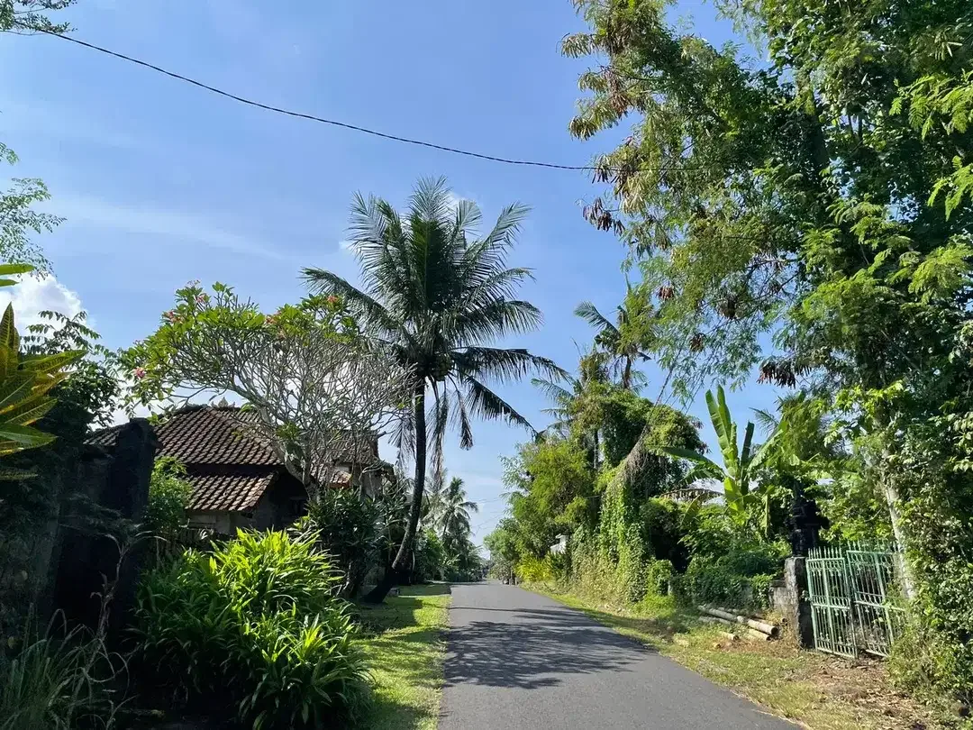Land Freehold 1230 Sqm in Tibu Biu Tabanan - Image 9 of 9