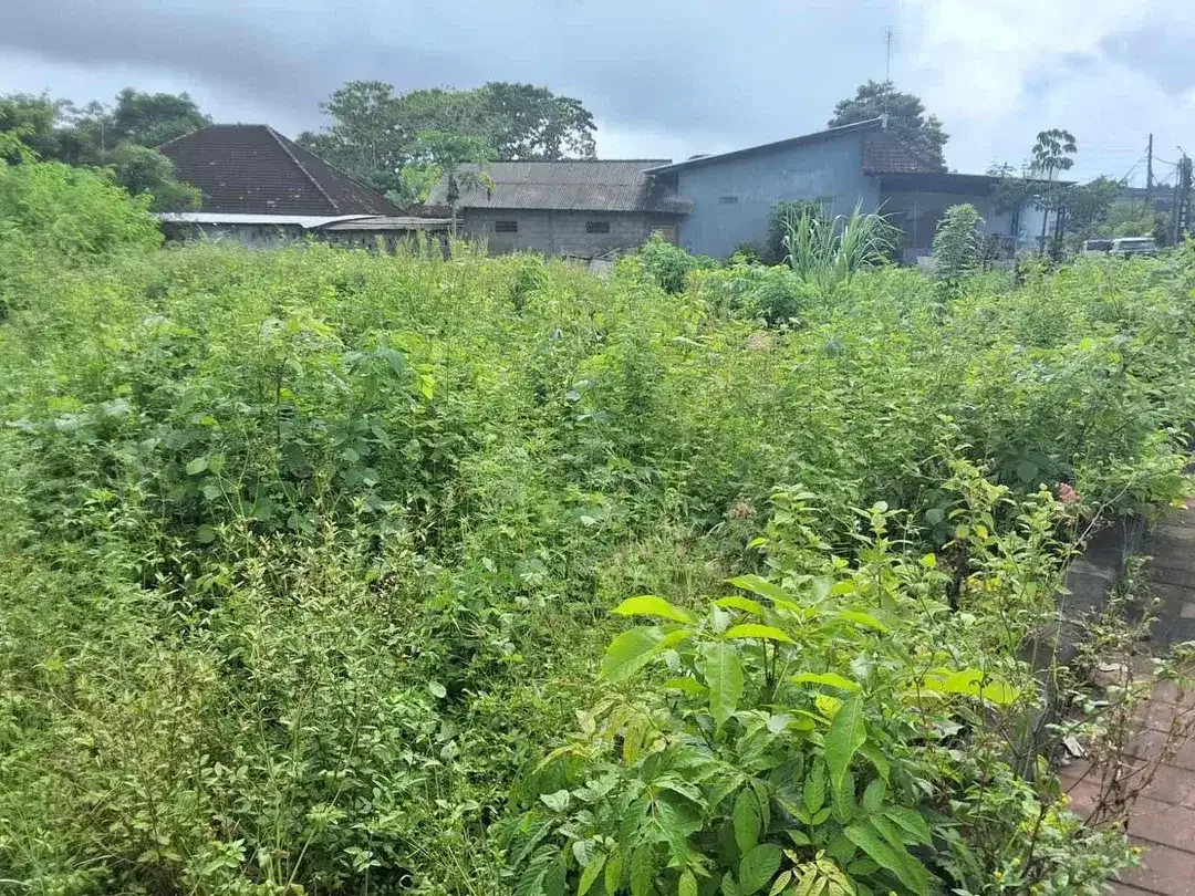 Di sewakan lahan komersil cocok untuk usaha karena di jalan utama labuan sait Pecatu - Image 2 of 10