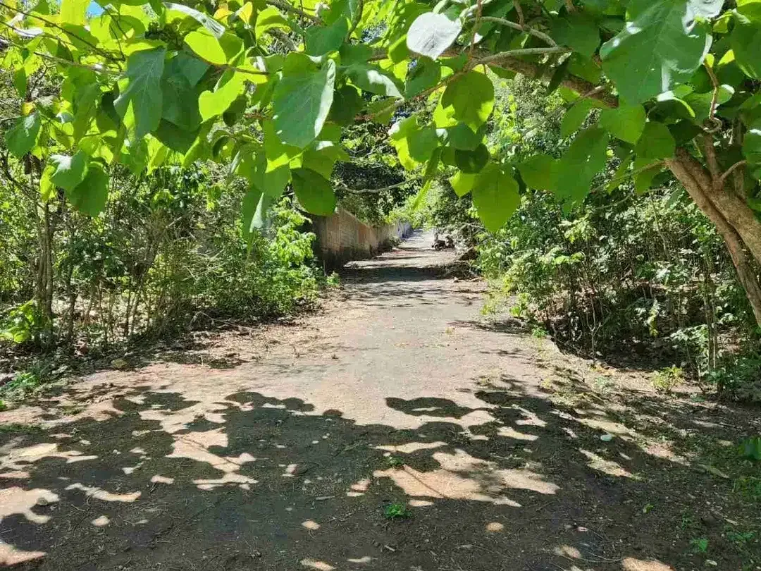 Di jual tanah bagus dekat hotel savaya dan Alila Pecatu sangat cocok untuk resort dan komplek villa - Image 3 of 5