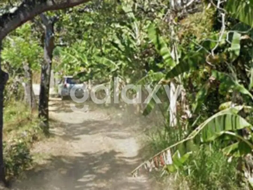 TANAH KEBUN SHM DI DESA BANGKALA KUBUTAMBAHAN SINGARAJA BULELENG, BALI - Image 5 of 8