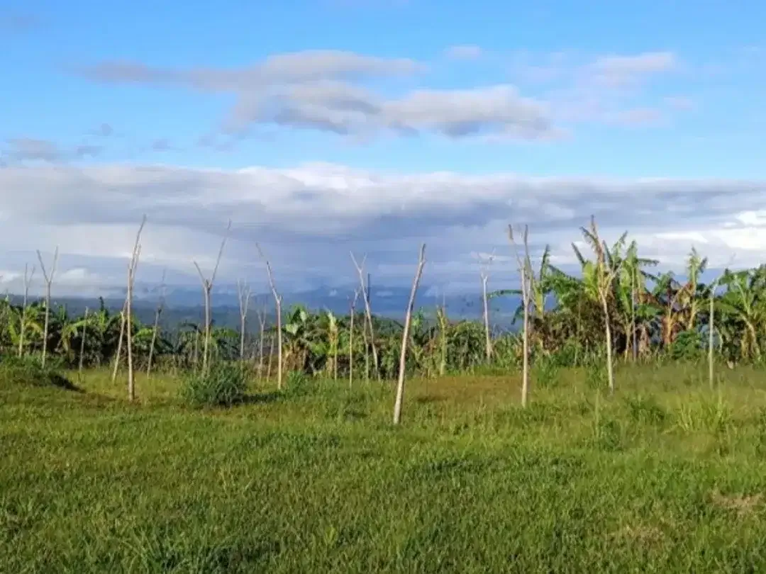 LAND FOR SALE
DANAU TAMBLINGAN – MUNDUK - Image 2 of 10