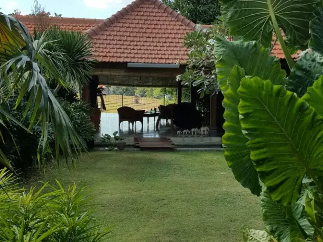 Vila 5 Kamar Tidur yang Luas dan Dikelilingi Pepohonan Hijau di Umalas - Image 4 of 5