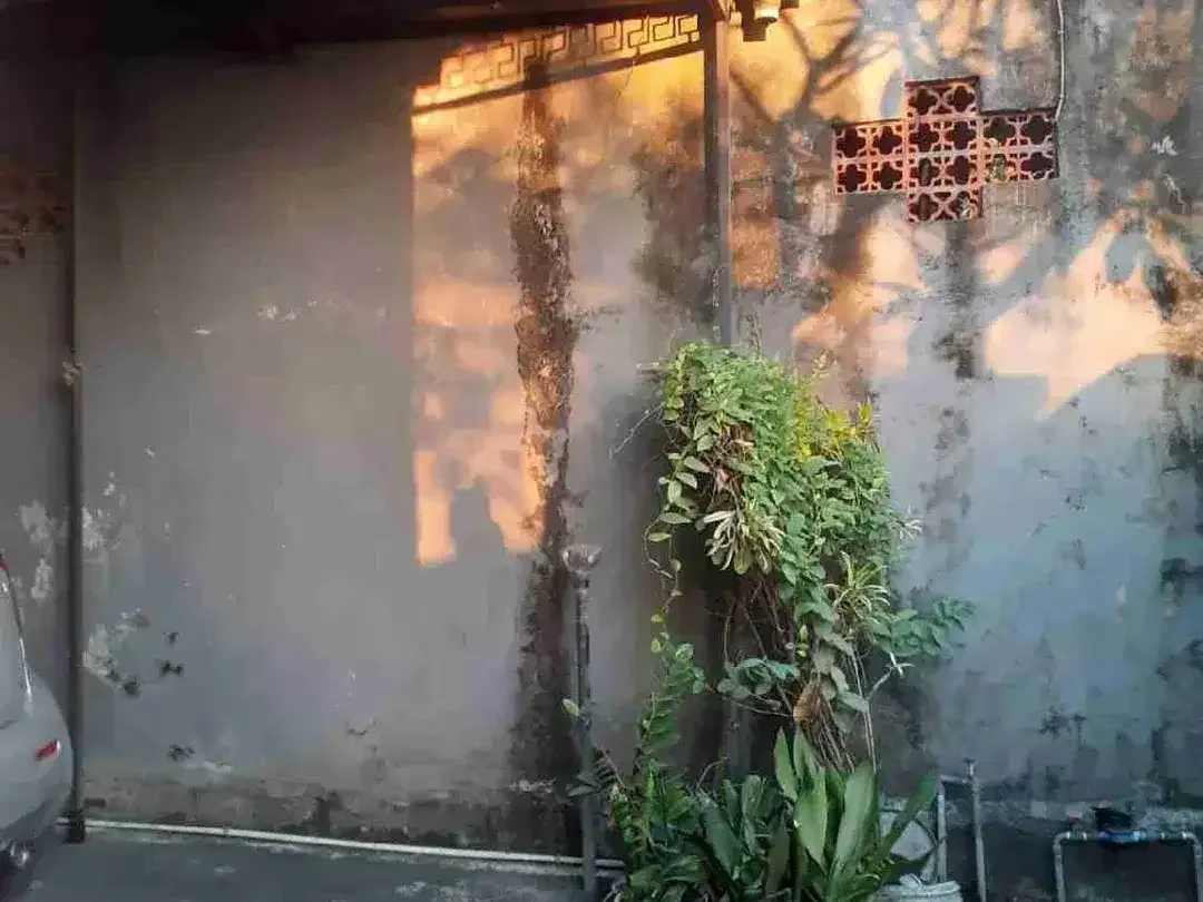 Rumah SHM 1Lantai Buana Putra Mahendradata Padangsambian - Image 4 of 10