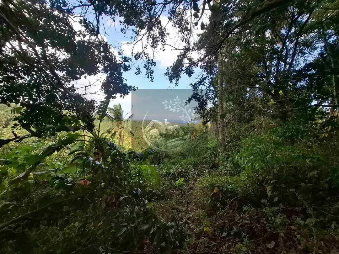 Dijual tanah strategis di kawasan wisata dekat akses jalan denpasar gilimanuk dengan view laut dan los sungai jernir berbatu - Image 4 of 10