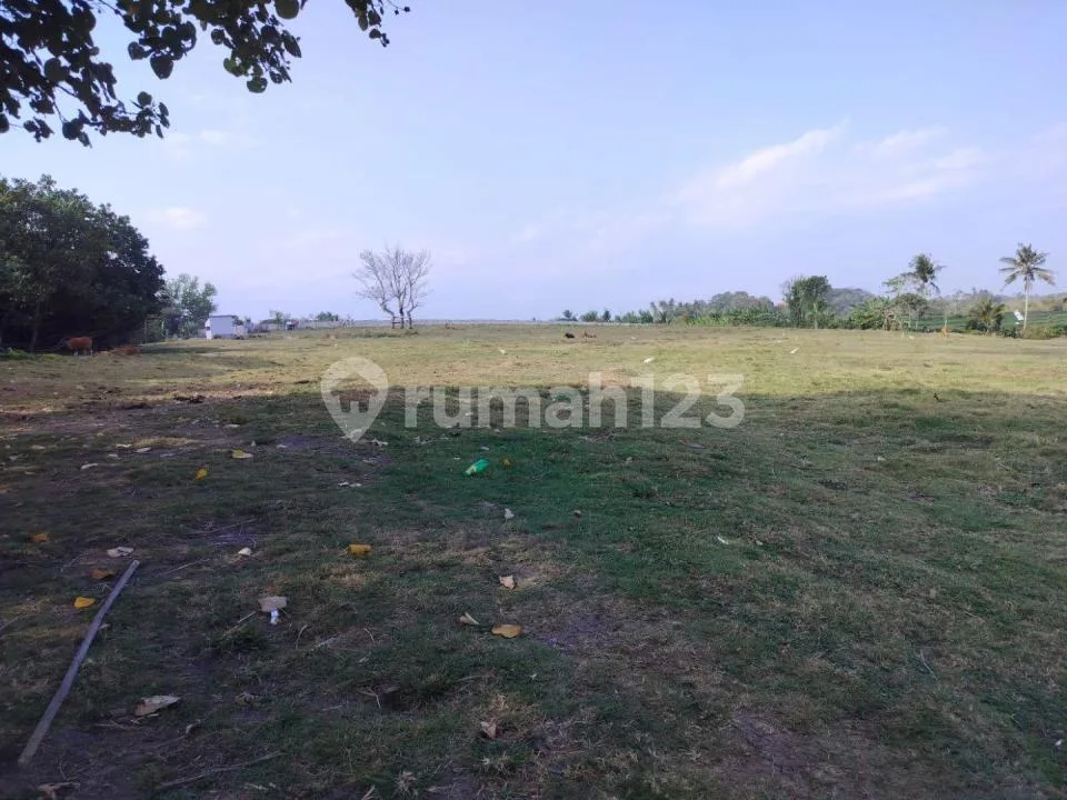 :Fire:dijual Tanah Los Pantai Kelating - Tabanan - 2,7 Hektarlokasi Super Langka! 0 Meter ke Pantai - Image 4 of 4