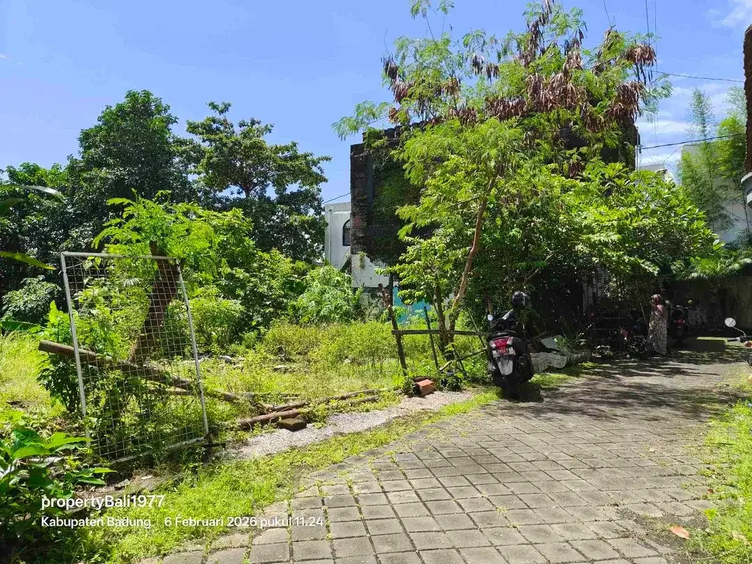 Tanah 135m2 di Umalas tegal cupek Kerobokan - Image 3 of 8