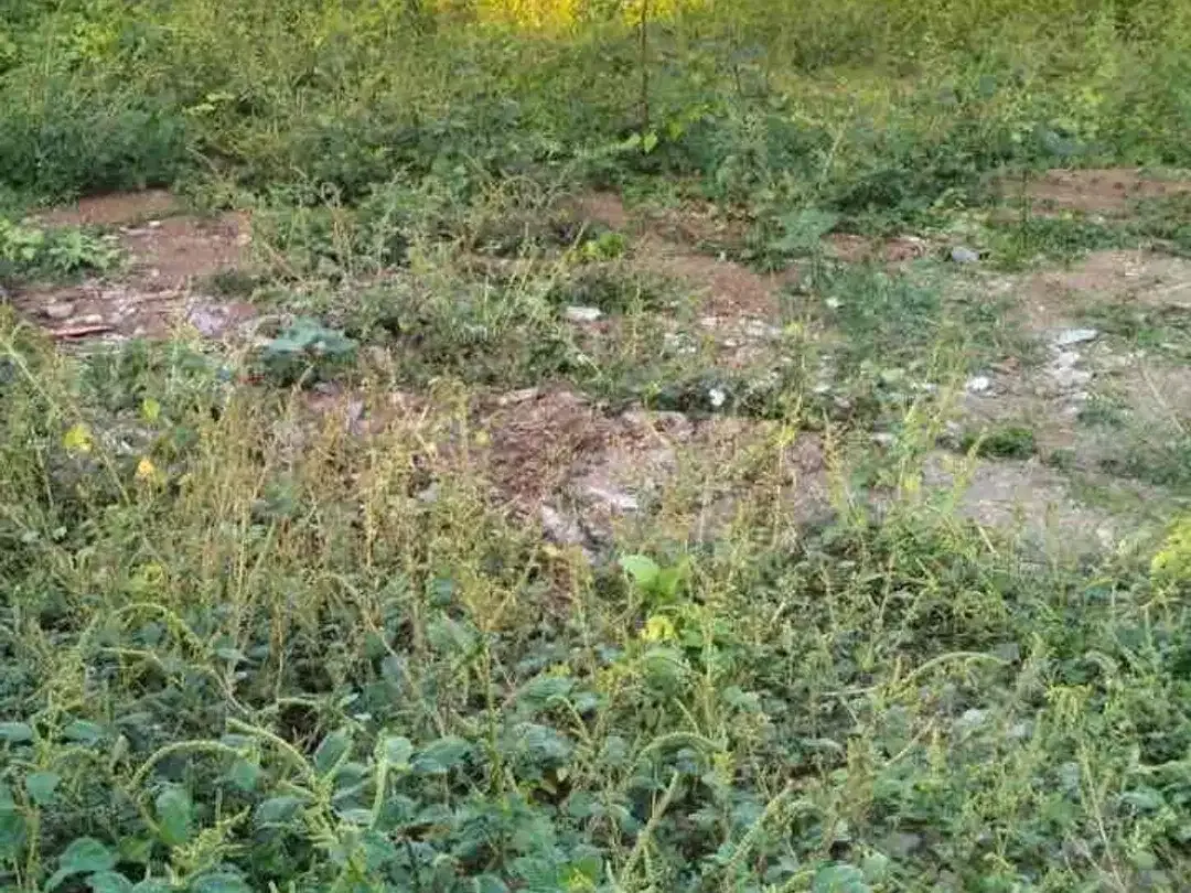 PREMIUM LAND FOR LEASE – PANDAK GEDE, KEDIRI, TABANAN, BALI - Image 7 of 10