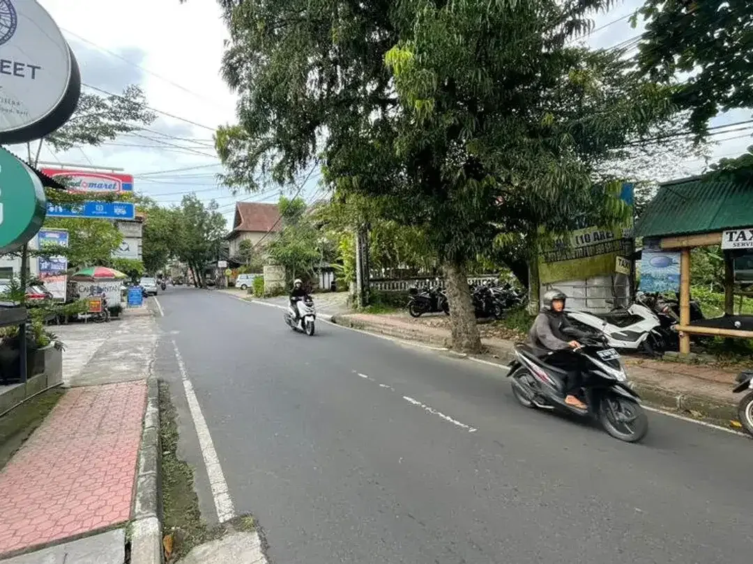 Tanah campuhan kedewatan ubud - Image 2 of 4