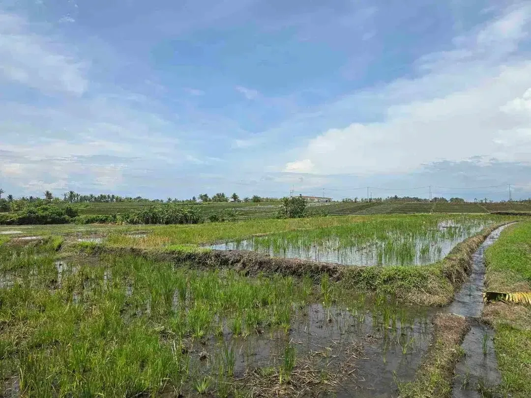dijual tanah kecil dekat pantai pasut tabanan bali - Image 3 of 10