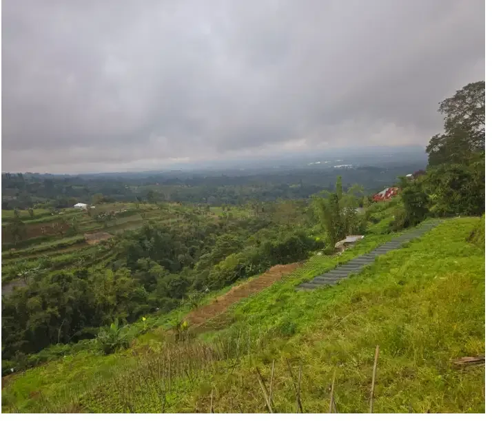 Tanah di Bedugul Tabanan - Image 7 of 10