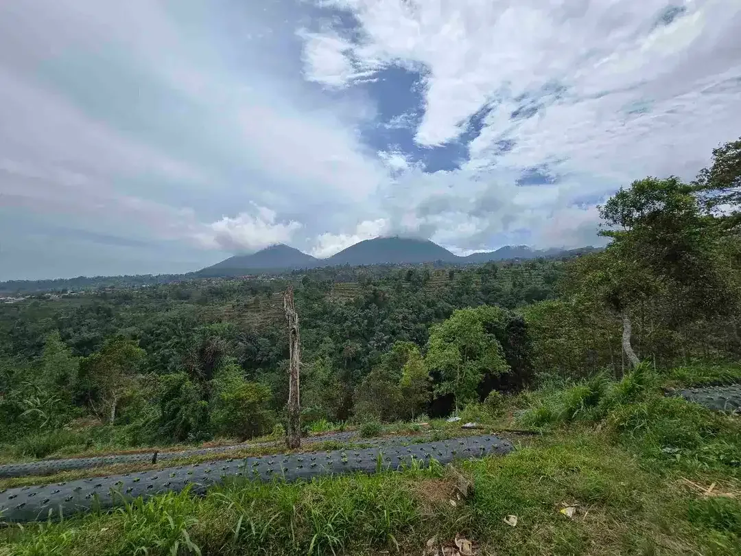 Dijual tanah datar landai view gunung dan lembah di tabanan bali - Image 8 of 10