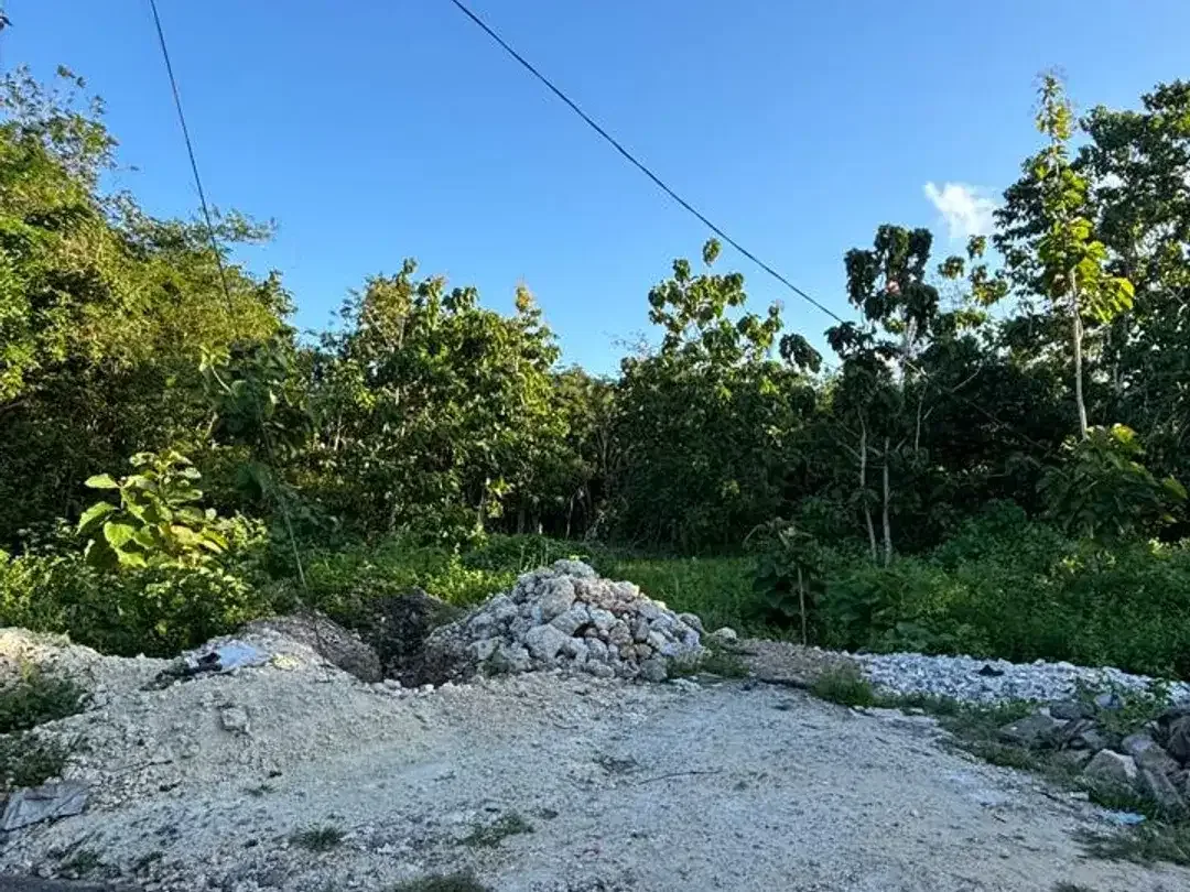 TANAH STRATEGIS DI UNGASAN 300M DARI JALAN RAYA ULUWATU - Image 2 of 6