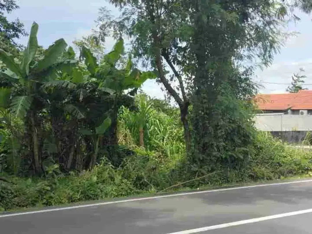 tanah bagus pinggir jalan cocok untuk usaha dan investasi - Image 3 of 5