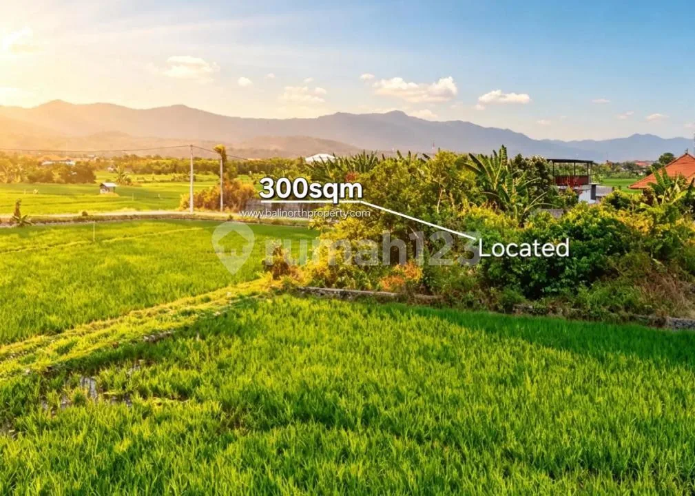 Tanah Eksklusif Dijual - Lovina, Bali Utara - Image 4 of 4