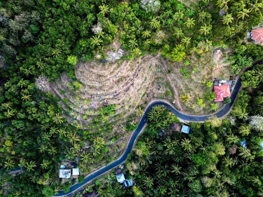 Dijual Tanah Strategis Area Madenan Tejakula Bali - Image 6 of 9