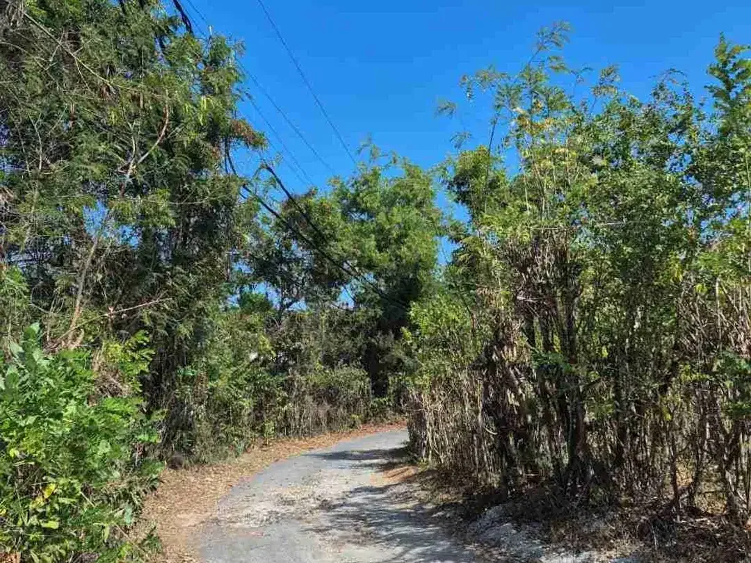 DIJUAL TANAH KOMERSIAL, PANTAI PANDAWA, KUTA SELATAN - Image 6 of 10