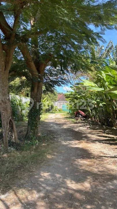 Yellow Zone Land In Jimbaran 1 Min Walk To The Beach - Image 2 of 4