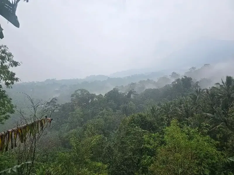 Dijual tanah kebun durian view lembah dan gunung - Image 4 of 8