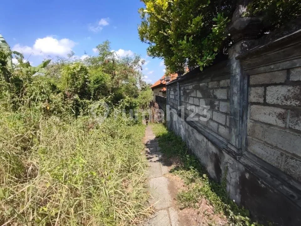 Dijual Tanah 44 Are Yeh Gangga Tabanan - Image 4 of 4