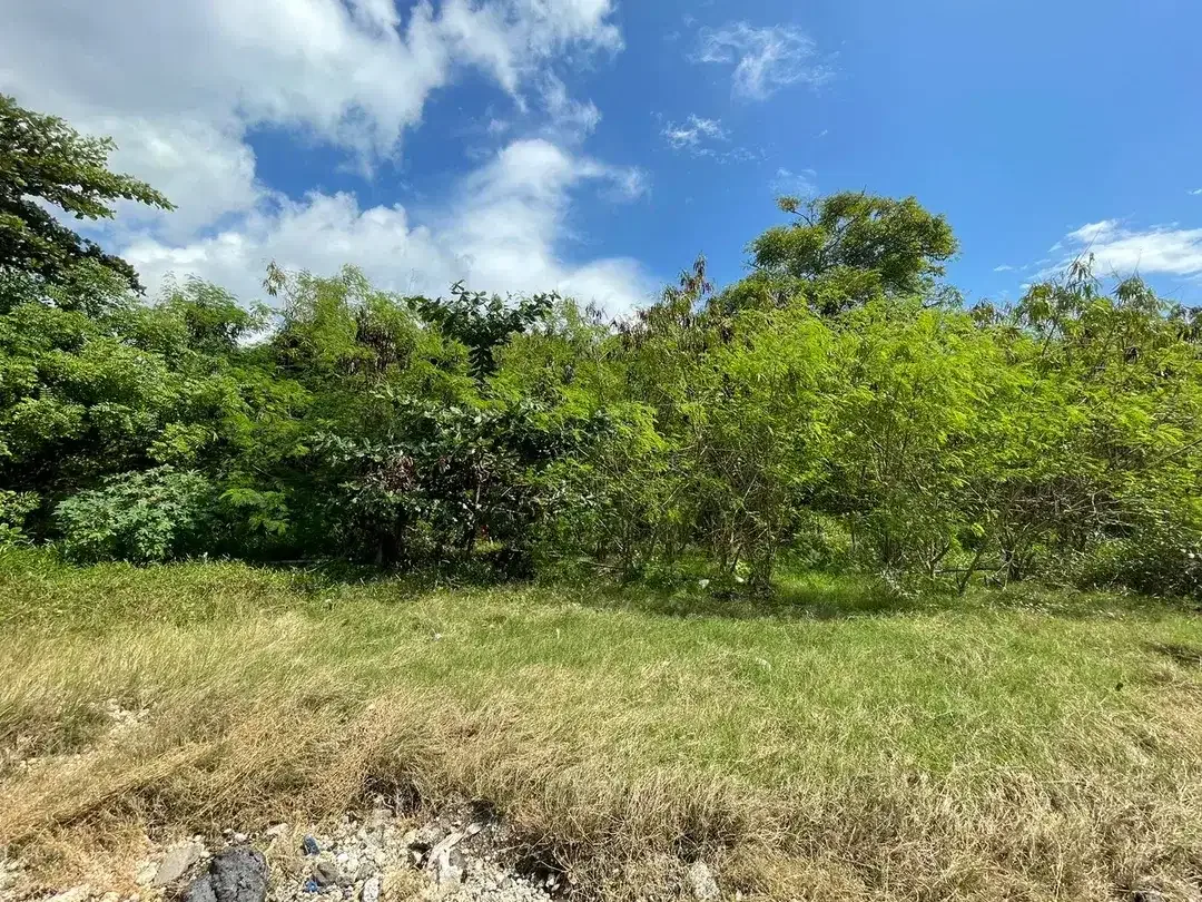 Beach Front Land for Sale Freehold Benoa Beach - Image 5 of 9