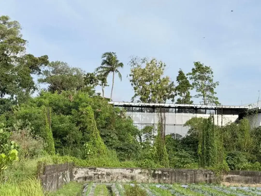 LEASEHOLD TANAH DEKAT PANTAI CEMAGI MENGWI BADUNG - Image 3 of 10