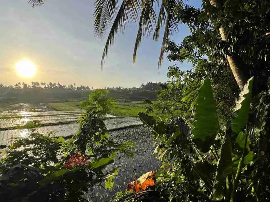 jual tanah pinggir jalan utama view sawah dekat kota tabanan bali - Image 10 of 10