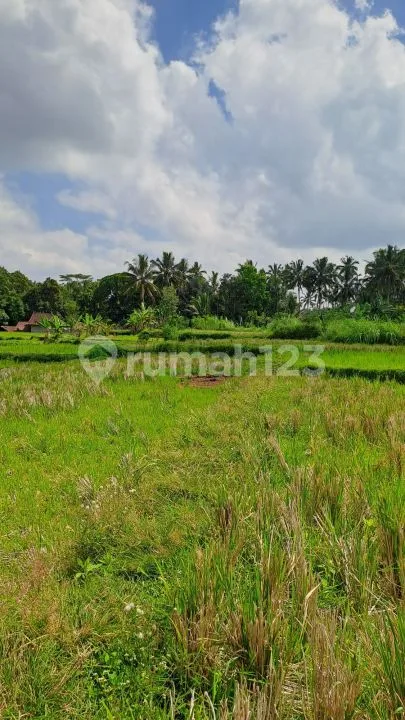 Jual tanah ubud payangan - Image 4 of 4