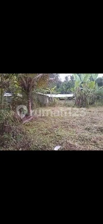 Tanah Super Murah Taro Utara Ubud Siap Bangun - Image 2 of 4