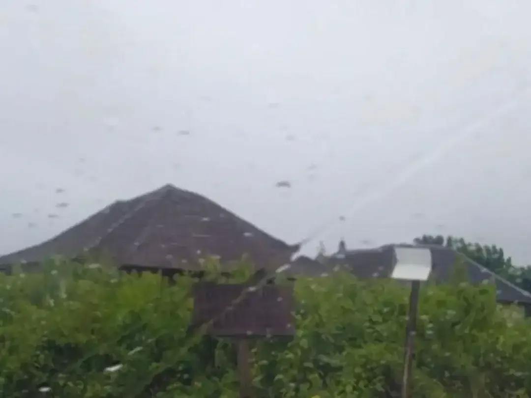 TANAH BALI TV KUTUH SEBELAH BODDINGTON VILLA - Image 2 of 6
