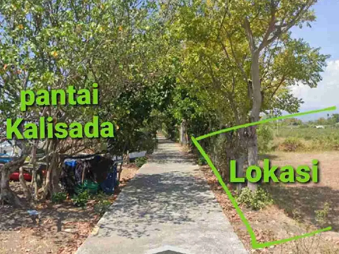 BEACHFRONT LAND for sale Jual tanah 53,92are di TEPI PANTAI Kalisada Buleleng Bali - Image 10 of 10