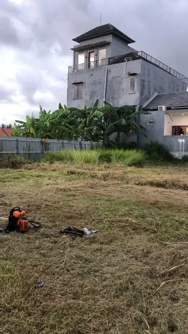 jasa potong rumput panggilan - Image 2 of 10