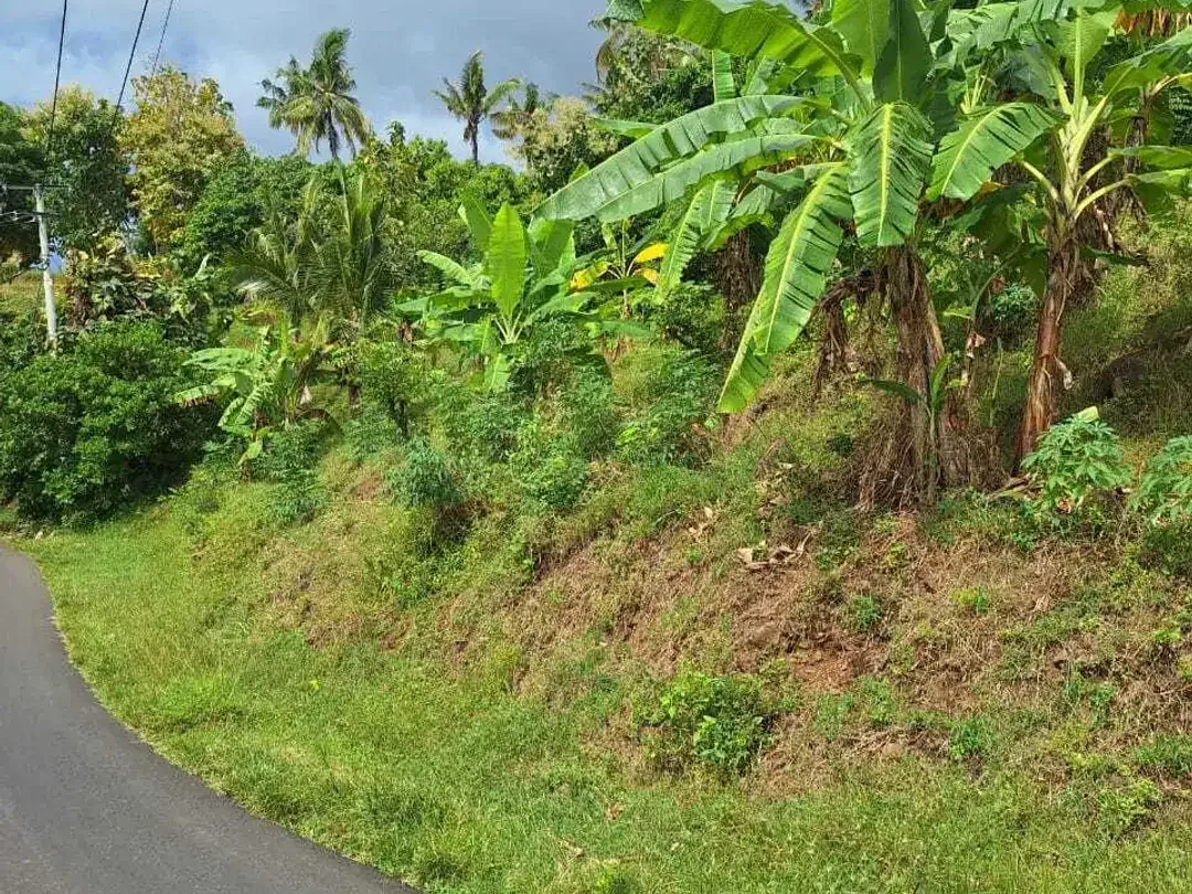 FREEHOLD LAND FOR SALE – LOVINA HILL Bali - Image 8 of 10