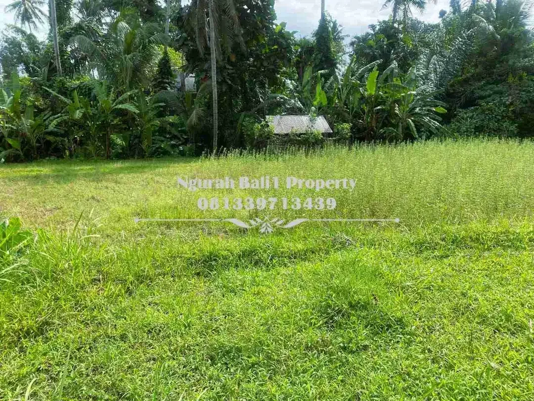 Dijual Tanah Murah Luas 10 Are di Br Tunon Ubud - Image 2 of 4