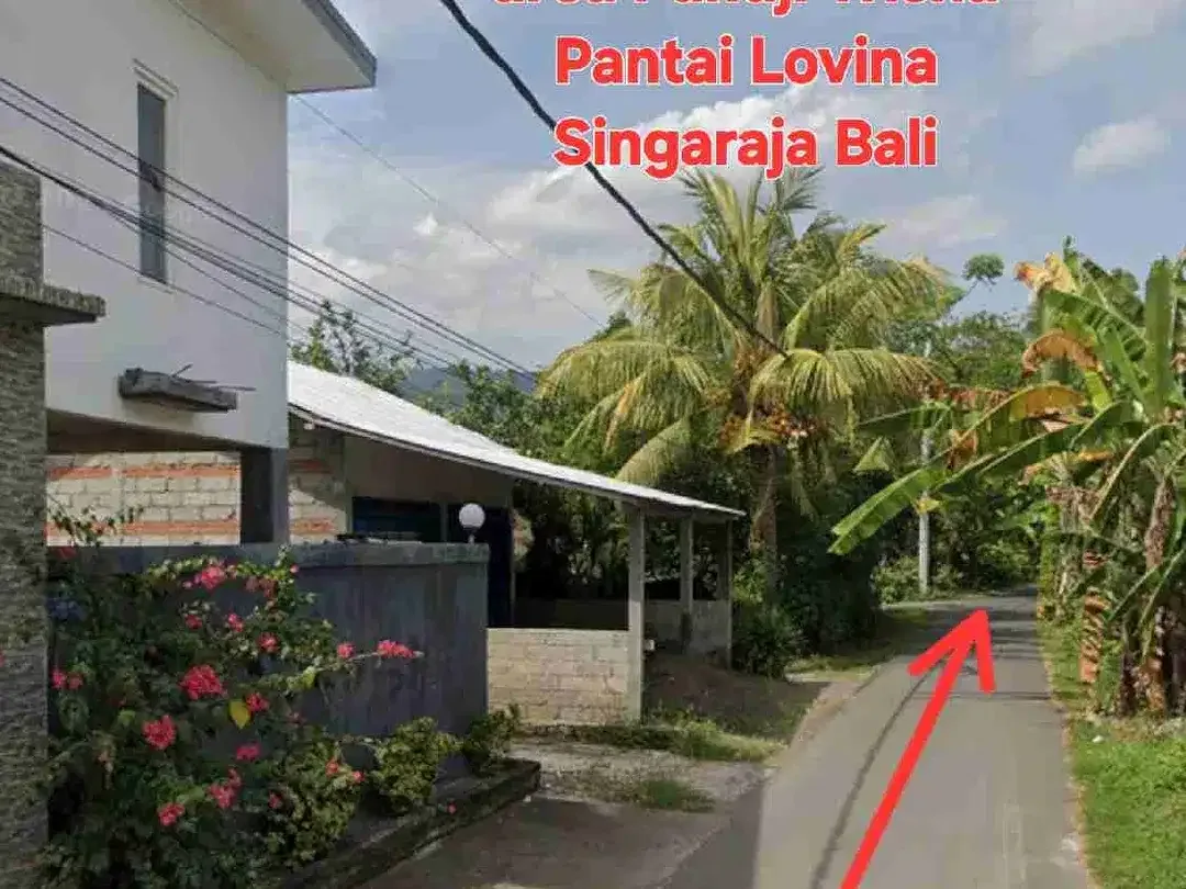 Jual Tanah 2,3are kawasan villa dkt Pantai Lovina Buleleng Bali - Image 4 of 10