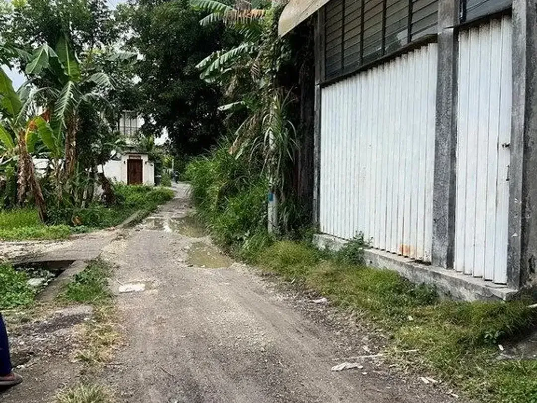 Premium 7.58 Are Freehold Rice Field View Land For Sale In Berawa - Image 4 of 8