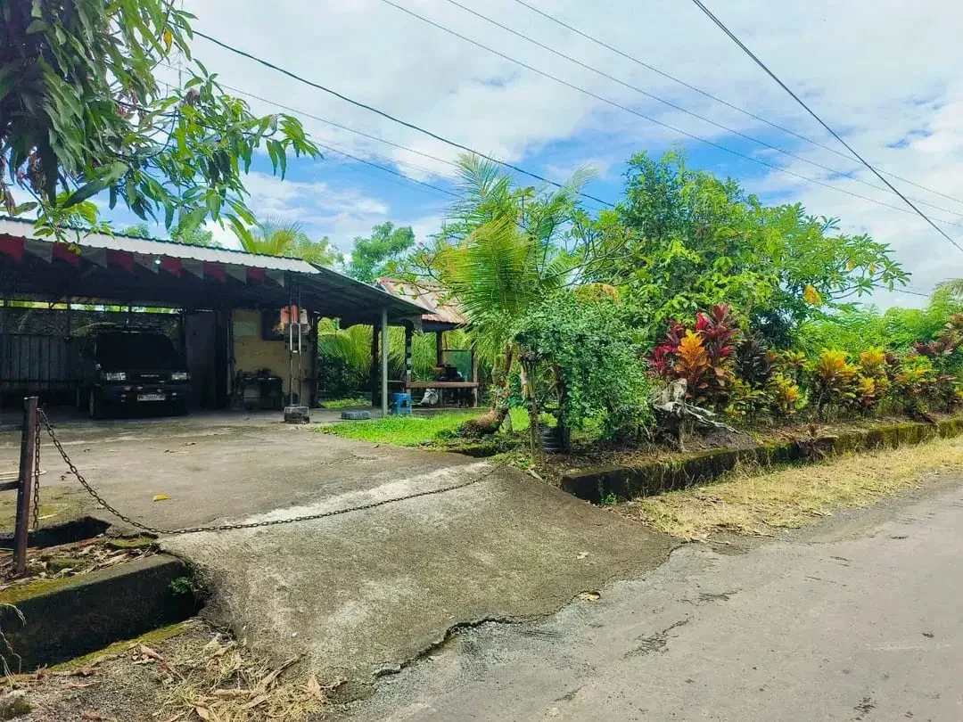 Tanah Murah Di Pinggir Jalan Banjar Sukawati Selemadeg Dekat Megati Raya Denpasar Gilimanuk - Image 2 of 10