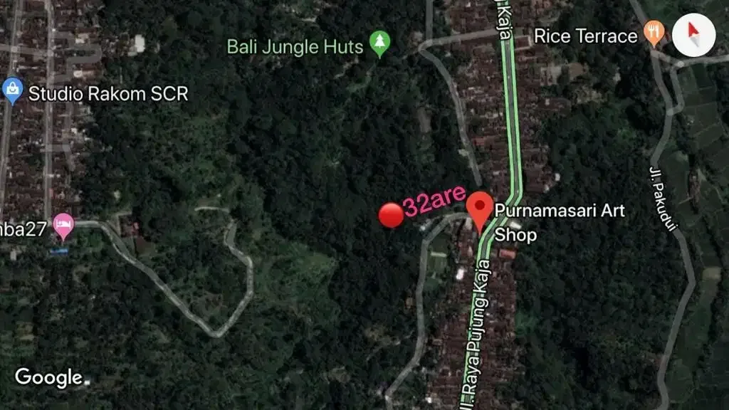 Dijual Tanah 38 are Daerah Tegalalang - Image 3 of 10
