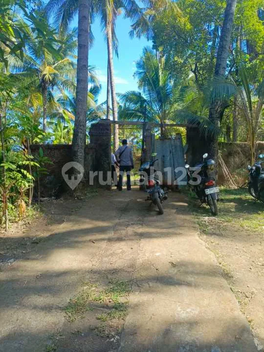 Beachfront Land 16 Are Pinggir Pantai Tejakula Buleleng Bali - Image 2 of 4