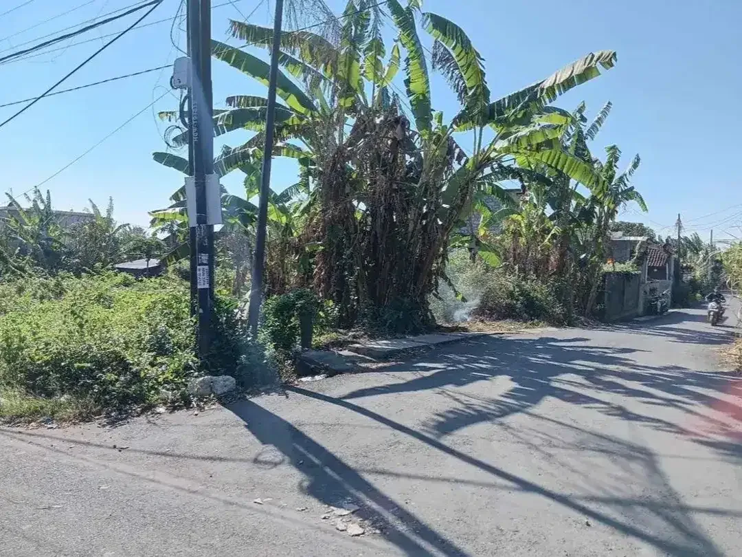 JUAL TANAH DEKAT PANTAI BALANGAN - Image 3 of 8