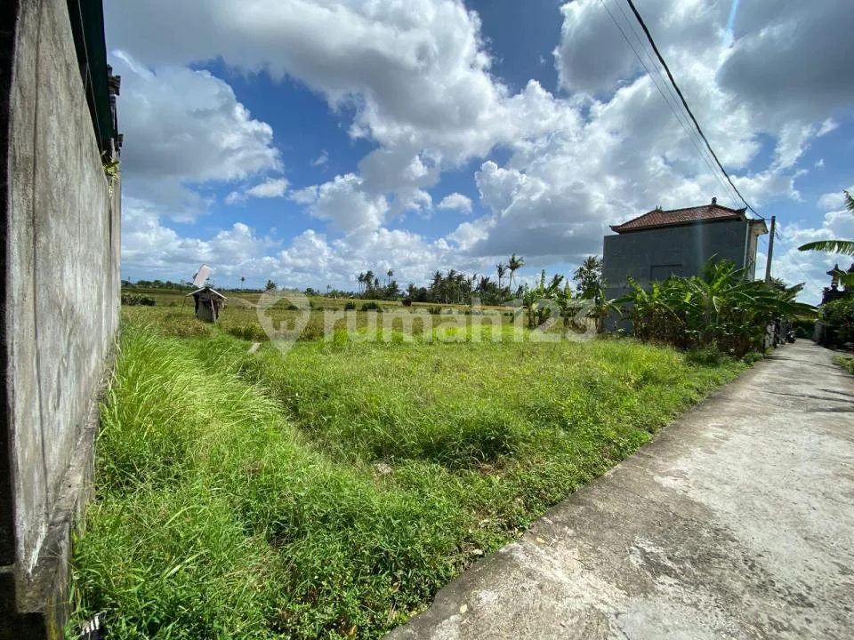 Tanah Jual Cepat SHM View Sawah Batubulan Gianyar - Image 3 of 4