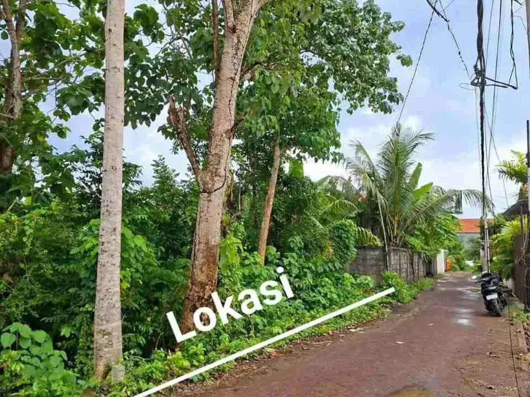 Di jual tanah bagus di Ungasan lingkungan villa sangat cocok untuk komersil - Image 5 of 5