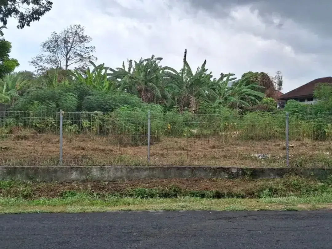 Tanah 6,45 Are Dijual Jalan Kaki Ke Pantai Kelating, Kedungu Tabanan. - Image 3 of 6