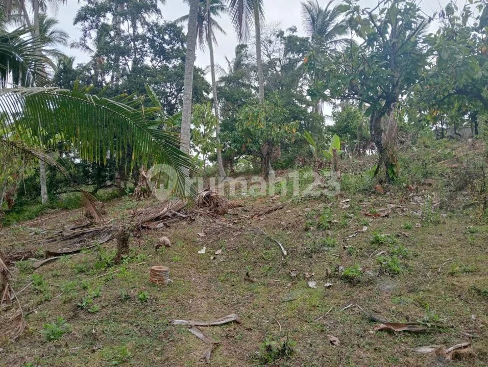 Jual Tanah Kebun Murah Dekat Pantai Balian di Tabanan - Image 4 of 4