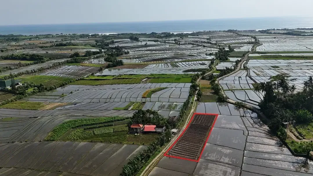 Tanah 9 Are Di Tibubiu Kerambitan Tabanan Dekat Pantai Pasut Kelating - Image 3 of 10