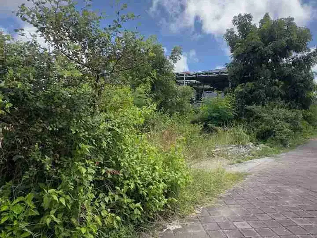 JUAL CEPAT TANAH Luas 255m Jl Utama Gubug Sari Kutuh Zona Kuning area Strategis Investasi.ta1 - Image 6 of 10