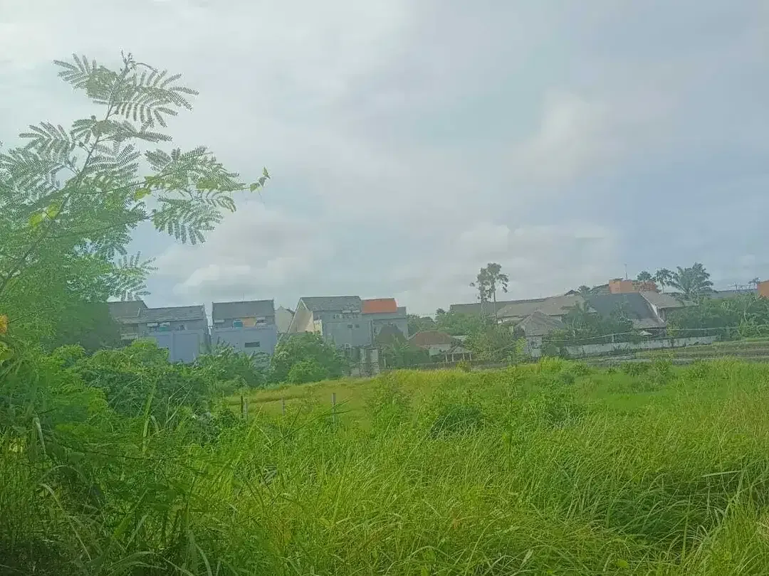 Land for sale in Mengwi, Bali - Image 1 of 10